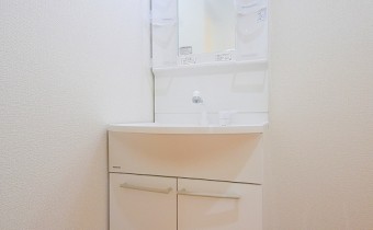 シャンプードレッサー