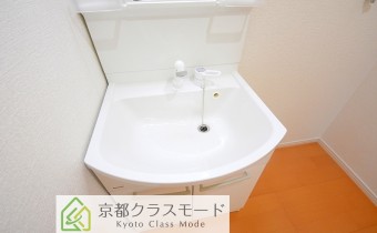 シャンプードレッサー