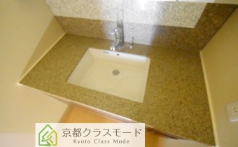 シャンプードレッサー