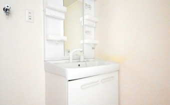 シャンプードレッサー