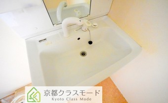 シャンプードレッサー