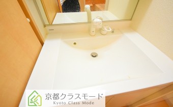 シャンプードレッサー