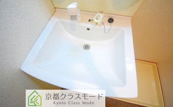シャンプードレッサー