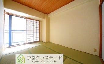 和6