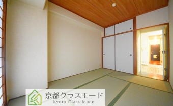 和6