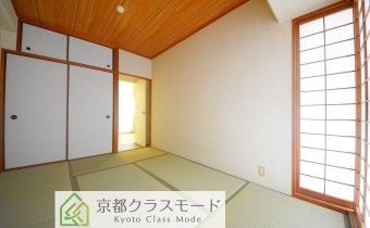 和6