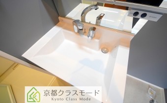シャンプードレッサー