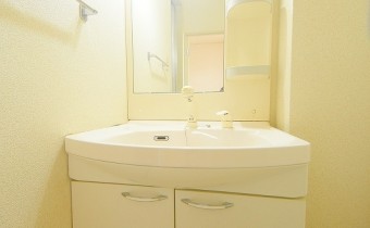 シャンプードレッサー