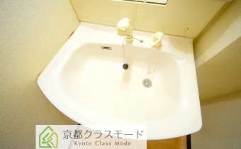 シャンプードレッサー