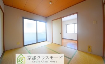 和6