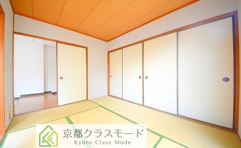 和6