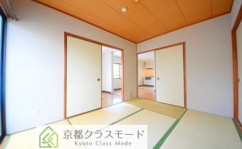 和6