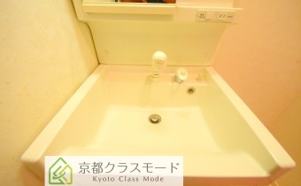 シャンプードレッサー