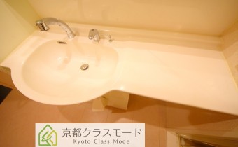シャンプードレッサー