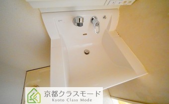 シャンプードレッサー