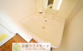 シャンプードレッサー