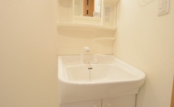 シャンプードレッサー