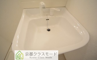 シャンプードレッサー
