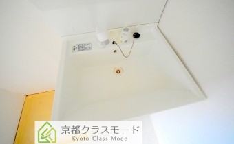 シャンプードレッサー