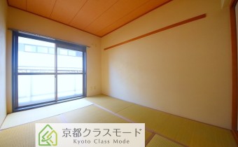 和6