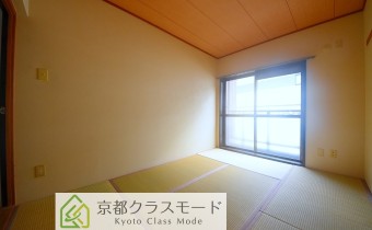 和6