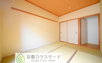 和6