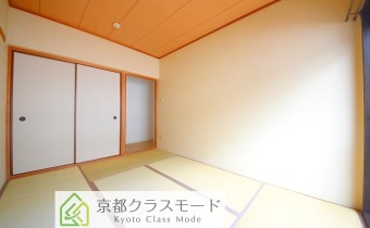 和6