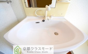 シャンプードレッサー