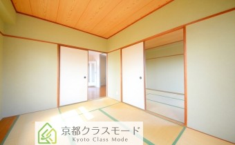 和6