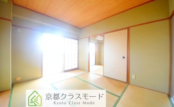 和6