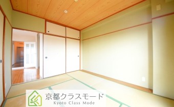 和6