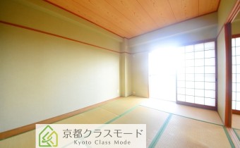 和6