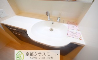 シャンプードレッサー