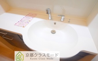 シャンプードレッサー