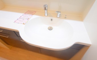 シャンプードレッサー