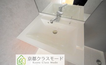 シャンプードレッサー