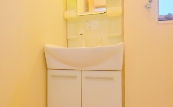 シャンプードレッサー