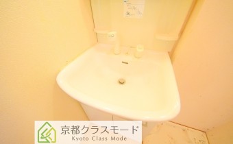 シャンプードレッサー　