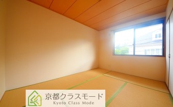 和6