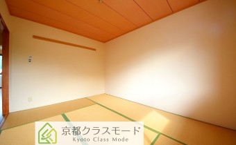 和6