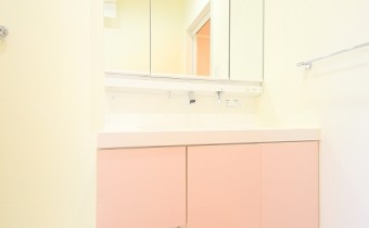 シャンプードレッサー