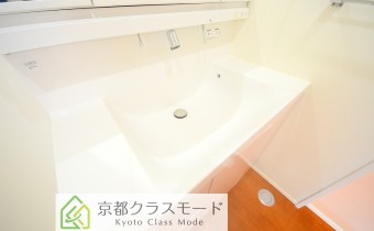 シャンプードレッサー