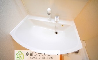 シャンプードレッサー