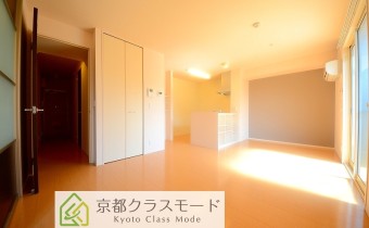 女性に人気のカウンターキッチンタイプのお部屋です♪