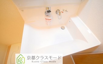 シャンプードレッサー