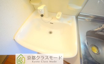 シャンプードレッサー