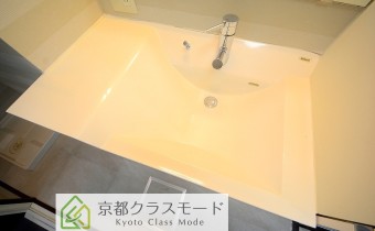 シャンプードレッサー