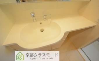 シャンプードレッサー