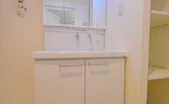 シャンプードレッサー