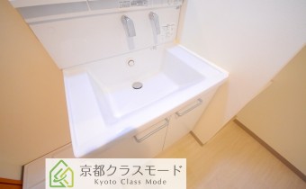 シャンプードレッサー